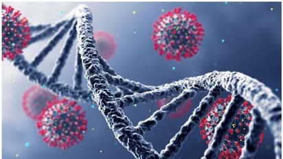 New Covid-19 variant : ಫ್ರಾನ್ಸ್ ನಲ್ಲಿ ಪತ್ತೆಯಾಗಿದೆ IHU, ಒಮಿಕ್ರಾನ್ ಗಿಂತ ಡೇಂಜರ್!