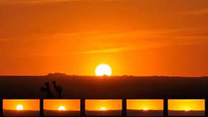 রবিবার পালন করুন এই বিশেষ টোটকা, দূর হবে আর্থিক জটিলতা থেকে পারিবারিক বিবাদ 