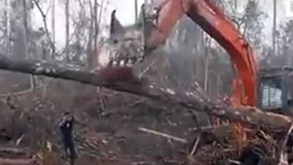 जब जंगल उजाड़ रहे शख्स से भिड़ गया बंदर, देखिए रुला देने वाला यह वीडियो