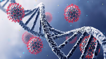 ஒமிக்ரானை தொடர்ந்து.. வந்த 'டெல்டா - கிரான்'... மறுபடியும் முதல்ல இருந்தா... பீதி கிளப்பும் புது வைரஸ்