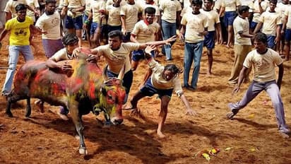 படையெடுக்கும் வைரஸ்கள்... மஞ்சு விரட்டுக்கு தடை... மீறி நடத்தினால் குற்ற வழக்கு பதிவு!!