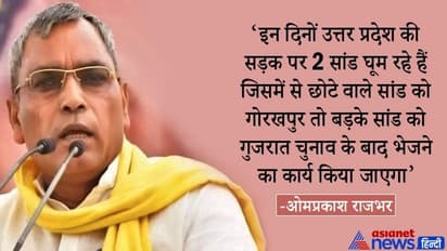 ओपी राजभर ने सांड से की मोदी-योगी की तुलना, कहा- BJP नेताओं को लाठी लेकर दौड़ा लीजिए