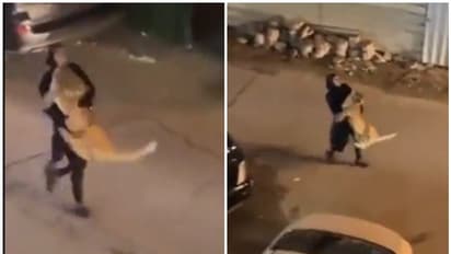 గాండ్రిస్తున్న సింహాన్ని చేతుల్లో బంధించి.. రోడ్డుపై సింపుల్గా నడుచుకుంటూ ఓ మహిళ.. షాకింగ్ వీడియో వైరల్