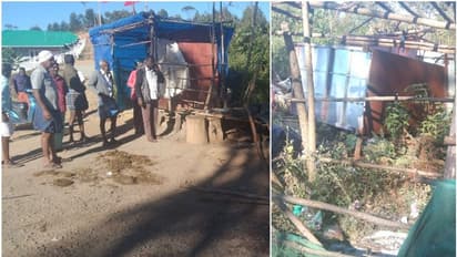 Wild Elephant Attack : മൂന്നാറില് ഓട്ടോ ഡ്രൈവറെ ആക്രമിച്ച കാട്ടാന സമീപത്തെ പെട്ടിക്കടയും തകര്ത്തു