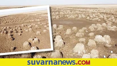 ಫ್ಲೆಮಿಂಗೋ ಹಕ್ಕಿಗಳ ಹೆರಿಗೆ ಕೇಂದ್ರವಾದ Rann of Kutch... ಡ್ರೋನ್ ಕ್ಯಾಮರಾದಲ್ಲಿ ಸೆರೆಯಾಯ್ತ ಮೋಹಕ ದೃಶ್ಯ