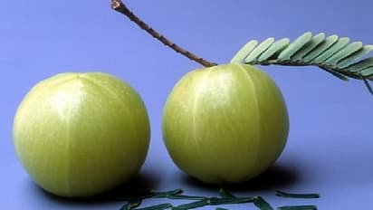 ত্বক উজ্জ্বল করতে কিংবা অ্যাসিডের সমস্যা দূর করতে আমলকি খান, রইল আমলকির ১০টি গুণের খোঁজ