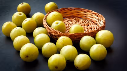 Health Tips : മുടികൊഴിച്ചിൽ കുറയ്ക്കാൻ നെല്ലിക്ക ; ഇങ്ങനെ ഉപയോഗിക്കൂ