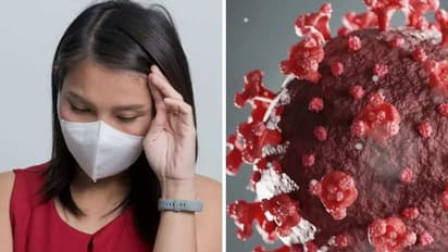 Omicron Alert: 'ওমিক্রন সাধারণ সর্দি নয়', আগামী ২ সপ্তাহ ভারতের জন্য কঠিন বলল WHO