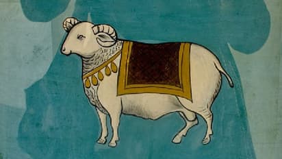 Horoscope May 14 2022: Check out today's Astrological prediction For all zodiac signs