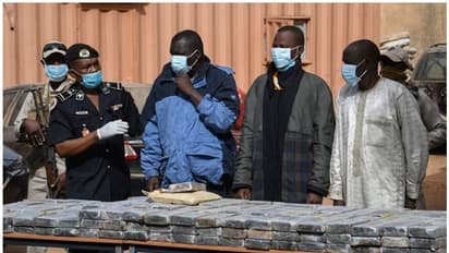 Cocaine in Mayor's Car: നൈജരില് മേയറുടെ കാറിൽ നിന്ന് 200 കിലോഗ്രാം കൊക്കെയ്ന് പിടികൂടി