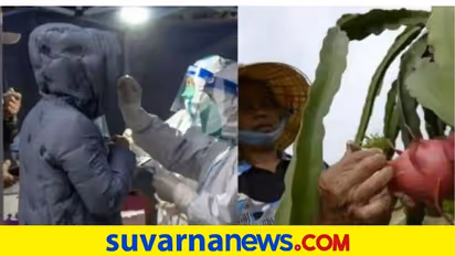 ಡ್ರ್ಯಾಗನ್‌ಫ್ರುಟ್‌ನಲ್ಲಿ ವೈರಸ್‌: ಸೂಪರ್‌ ಮಾರ್ಕೆಟ್ ಬಂದ್ ಮಾಡಿದ ಚೀನಾ