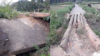 പ്രളയമെടുത്ത പാലം നിർമ്മിക്കാതെ പഞ്ചായത്ത്; നെല്ല് സംഭരണത്തിനടക്കം വണ്ടിയെത്തിക്കാനാവാതെ കര്‍ഷകര്‍