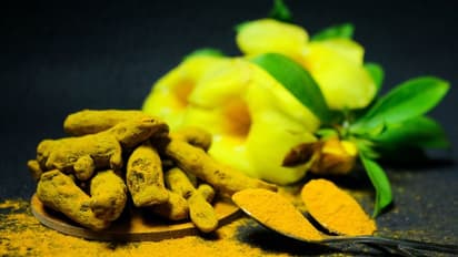 Health Tips: ஆரோக்கியத்திற்கு பச்சை மஞ்சள் பெஸ்டா..? இல்லை மஞ்சள் தூளா..? ஆயூர்வேதம் கூறும் பரிந்துரை என்ன..?