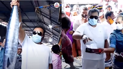 Suresh Gopi : കറിക്ക് ഏതാ നല്ലതെന്ന് സുരേഷ് ഗോപി, നെയ്മീനെന്ന് വിൽപ്പനക്കാർ; ആറരക്കിലോ വാങ്ങി താരം, വീഡിയോ