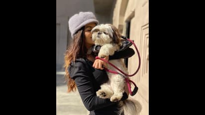 அச்சசோ ..இவ்ளோ டைட்டாவா  ட்ரஸ் போடுறது... யாஷிகா ஆனந்தின் அடுத்த அலப்பறை..கொஞ்சம் மிஸ் ஆனாலும் கிளிஞ்சுரும்