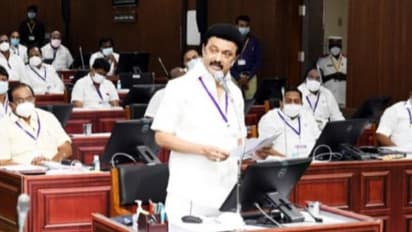 CM Assembly Speech: களத்தில் இறங்கி நான் சேவை செய்வேன்.. இது உங்கள் அரசு..சட்டபேரவையில் சூளுரைத்த ஸ்டாலின்..