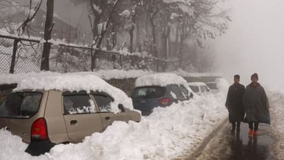 విహారం .. విషాదం.. చిన్నారులతో సహా 21 మంది మృతి