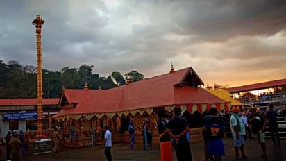 ചില ക്ഷുദ്രശക്തികൾ ശബരിമലയിൽ വ്യാജപ്രചാരണങ്ങൾ നടത്താൻ ശ്രമിച്ചു, പക്ഷേ അതിജീവിച്ചു: ദേവസ്വം പ്രസിഡന്റ്
