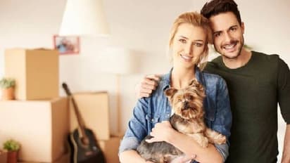 Pets welfare Spain : വിവാഹമോചനത്തില്‍ മക്കളുടെ കാര്യംമാത്രമല്ല, വളർത്തുമൃ​ഗങ്ങളുടെ കാര്യത്തിലും തീരുമാനം വേണം