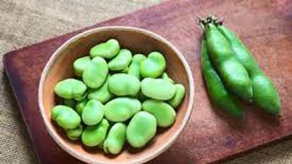 மொச்சைப் பயிறுகளில் கொட்டிக்கிடக்கும் ஆரோக்கிய நன்மைகள்..!!