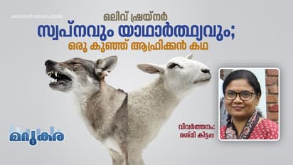 Translation : സ്വപ്നവും യാഥാര്‍ത്ഥ്യവും;  ഒരു കുഞ്ഞ് ആഫ്രിക്കന്‍ കഥ