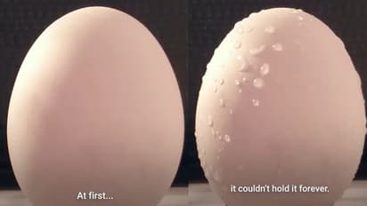 Viral Video : മൈക്രോവേവിനകത്ത് വെറുതെ മുട്ട വച്ചാല്‍ എന്ത് സംഭവിക്കും?; രസകരമായ വീഡിയോ