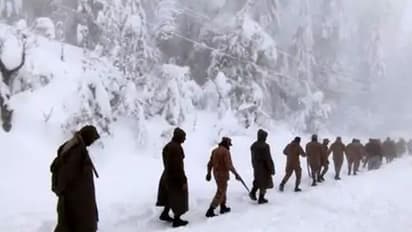 Indian Freeze Death: ಅಮೆರಿಕಾ- ಕೆನಡಾ ಗಡಿಯಲ್ಲಿ ಕೊರೆವ ಚಳಿಗೆ ಮಗು ಸೇರಿ ನಾಲ್ವರು ಭಾರತೀಯರ ಬಲಿ