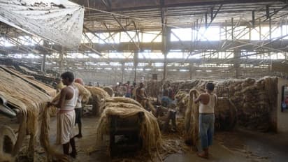 Jute Corporation of India Recruitment 2022- উচ্চমাধ্যমিক পাশেই মিলবে চাকরী