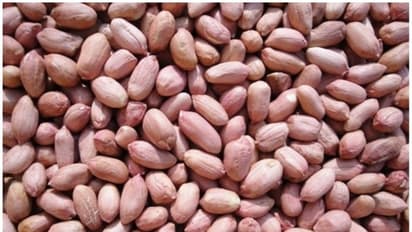 കപ്പലണ്ടി കഴിക്കുന്നത് വണ്ണം കൂട്ടുമോ അതോ കുറയ്ക്കുമോ? 