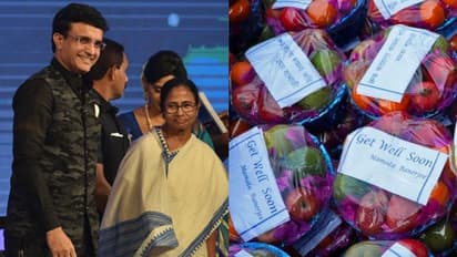 Sourav Ganguly: সৌরভের আরোগ্য কামনায় মমতা বন্দ্যোপাধ্য়ায়, বাড়িতে পাঠালেন ফল-হেল্থ ড্রিঙ্কস