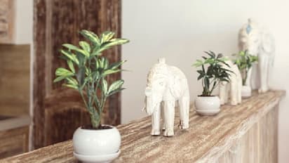 Vastu Tips: ಈ ವಿಗ್ರಹಗಳನ್ನು ಮನೆಯಲ್ಲಿಟ್ಟರೆ ಅದೃಷ್ಟ ಕುಲಾಯಿಸಲಿದೆ..