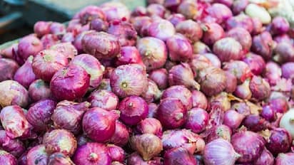 ಈರುಳ್ಳಿ ಬೆಳೆದ ರೈತರ ಕಣ್ಣಲ್ಲಿ ನಿಲ್ಲದ ಕಣ್ಣೀರು..!