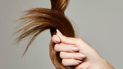 Koppal: ಕಚ್ಚಾ ಕೂದಲು ರಫ್ತಿಗೆ ನಿರ್ಬಂಧ: ಜಗತ್ತಿಗೆ ಭಾರತದ್ದೇ ಸಿಂಹಪಾಲು..!