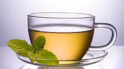Green Tea And Fatty Liver : ഫാറ്റി ലിവർ തടയാൻ ഗ്രീൻ ടീ സഹായിക്കുമോ?