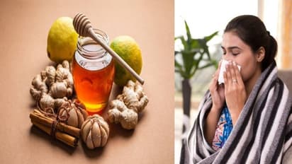 Immunity Booster: খুব ঠান্ডা লাগার ধাত থাকলে পাতে রাখুন এই খাবারগুলো