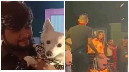 dog birthday : 'ഗാനമേള, ഡാന്സ്'; ലക്ഷങ്ങള് പൊടിച്ച് നായ്ക്കുട്ടിയുടെ ജന്മദിനാഘോഷം, യുവാക്കള് അറസ്റ്റില്