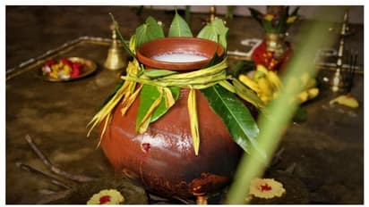 தித்திக்கும் பொங்கல் திருநாள் வந்தாச்சு! கும்மி, மஞ்சுவிரட்டு, செங்கரும்பின் மகத்துவம் அறிக...