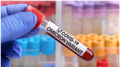 Omicron variant spread pushing COVID towards being an endemic, says EU's drug watchdog