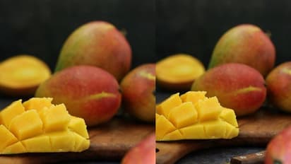 Indian Mango: আমেরিকার সবুজ সংকেত, ভারতের সুস্বাদু আম রফতানি হবে সেদেশে