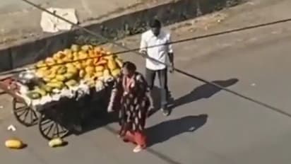 Viral Video : 'ഇതെന്ത് ക്രൂരത!'; വൈറലായി സ്ത്രീയുടെ അതിക്രമം