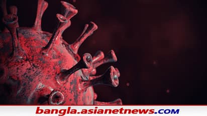 Omicron in India : দ্রুত রূপ বদলাচ্ছে ছদ্মবেশী ওমিক্রন, নয়া তিন উপসর্গের বিষয়ে সতর্ক হন এখনই