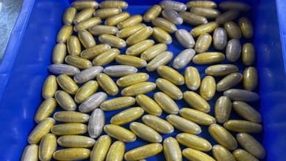 महिला ने कैप्सूल में छिपा रखी थी 7 करोड़ से ज्यादा कीमत की हेरोइन, IGI एयरपोर्ट पर गिरफ्तार