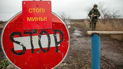 Explained: Why Russia may not annex Ukraine's Donbas region