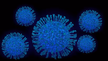 Omicron And Delta : ಒಮಿಕ್ರಾನ್ ಅಥವಾ ಡೆಲ್ಟಾ.. ಸೋಂಕು ಪತ್ತೆ ಹಚ್ಚೋದು ಹೇಗೆ?