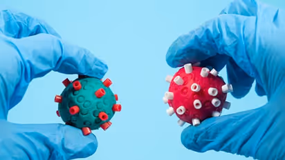 Covid 19 new variant : 'അടുത്ത കൊവിഡ് വൈറസ് വകഭേദം കൂടുതല്‍ അപകടകാരിയായേക്കാം'