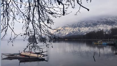 Indian family frozen to death : കാനഡ-യുഎസ് അതിര്ത്തിയില് പിഞ്ചുകുഞ്ഞടക്കം നാല് ഇന്ത്യക്കാര് തണുത്ത് മരിച്ചു