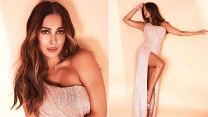 Malaika Arora Photoshoot: വീണ്ടും ഹോട്ട് ലുക്കിൽ മലൈക അറോറ; ചിത്രങ്ങൾ വൈറല്‍