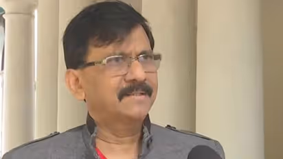Know about Tipu Sultan, don’t need to learn from BJP: Sanjay Raut on renaming of sports complex amid protests