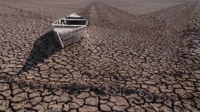 Climate Change : ഇന്ത്യയ്ക്കും മുന്നറിയിപ്പ്, അര്ജന്റീന തീച്ചൂളയായി; പുറത്തിറങ്ങാനാവാതെ ജനം