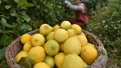 Hubballi: ಬೇಸಿಗೆಗೆ ಲಿಂಬು ದರ ಹೆಚ್ಚಳದ ಬಿಸಿ..!